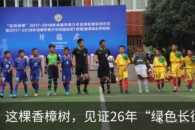 这棵香樟树，见证26年“绿色长征”